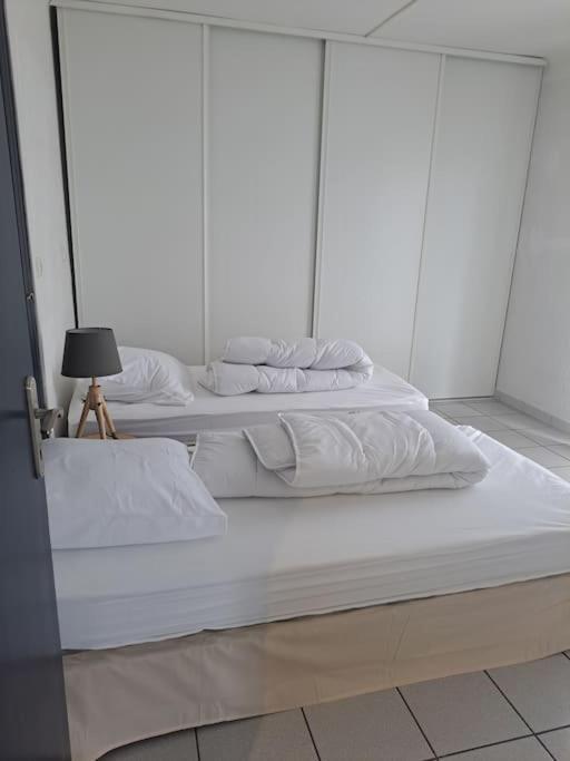 Joli T3 3 Min Gare Perpignan Apartment ภายนอก รูปภาพ
